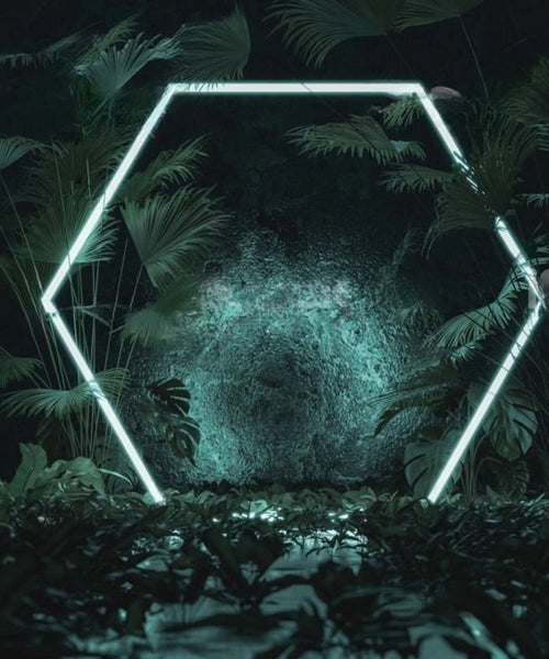 Einzelnes Sechseck-Gitter